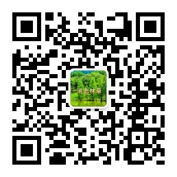 洮北区林业和草原局.jpg