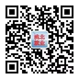 桃北区就业局.jpg